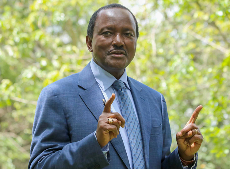 Stephen Kalonzo Musyoka